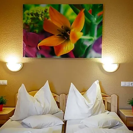 Hotel Karin 3*