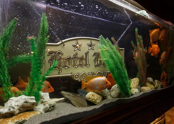 Karin Отель Будапешт